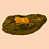 Seed shape: boat-shaped